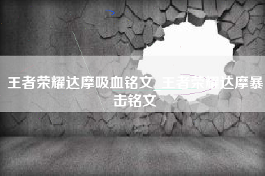 王者荣耀达摩吸血铭文_王者荣耀达摩暴击铭文