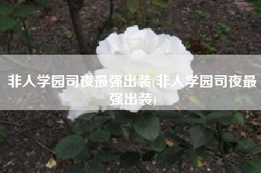 非人学园司夜最强出装(非人学园司夜最强出装)