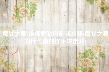 魔女之泉4前期野猪肉刷钱攻略(魔女之泉为什么前期怪不攻击我)