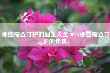 那些需要守护的图鉴大全2022(那些需要守护的角色)