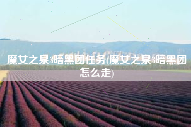 魔女之泉3暗黑团任务(魔女之泉3暗黑团怎么走)