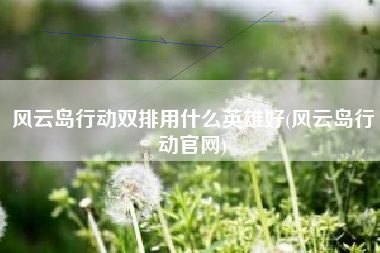 风云岛行动双排用什么英雄好(风云岛行动官网)