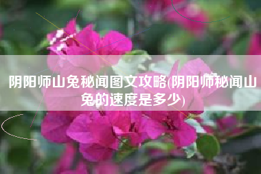 阴阳师山兔秘闻图文攻略(阴阳师秘闻山兔的速度是多少)