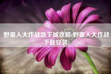野蛮人大作战地下城攻略(野蛮人大作战下载安装)