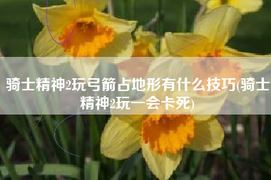 骑士精神2玩弓箭占地形有什么技巧(骑士精神2玩一会卡死)