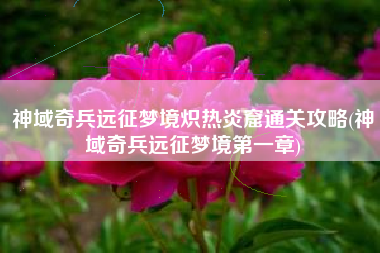 神域奇兵远征梦境炽热炎窟通关攻略(神域奇兵远征梦境第一章)