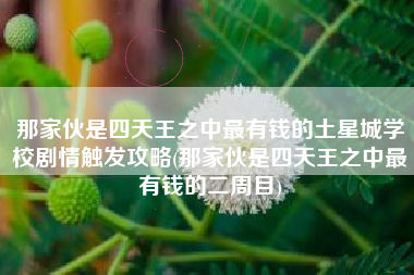 那家伙是四天王之中最有钱的土星城学校剧情触发攻略(那家伙是四天王之中最有钱的二周目)