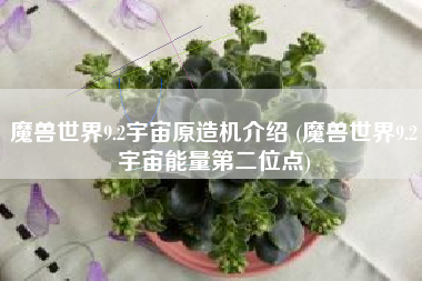 魔兽世界9.2宇宙原造机介绍 (魔兽世界9.2宇宙能量第二位点)