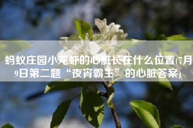 蚂蚁庄园小龙虾的心脏长在什么位置(7月9日第二题“夜宵霸主”的心脏答案)