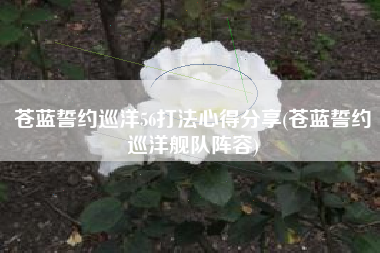 苍蓝誓约巡洋56打法心得分享(苍蓝誓约巡洋舰队阵容)