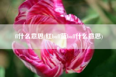 ff什么意思(红buff蓝buff什么意思)