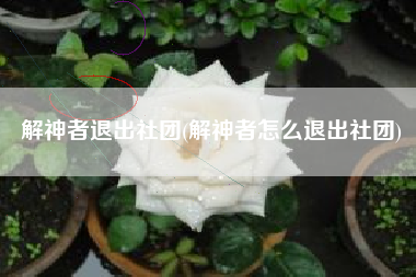 解神者退出社团(解神者怎么退出社团)