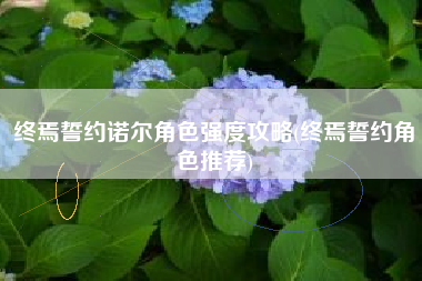 终焉誓约诺尔角色强度攻略(终焉誓约角色推荐)