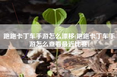 跑跑卡丁车手游怎么漂移(跑跑卡丁车手游怎么查看最近比赛)