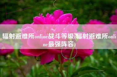辐射避难所online战斗等级(辐射避难所online最强阵容)