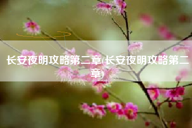 长安夜明攻略第二章(长安夜明攻略第二章)
