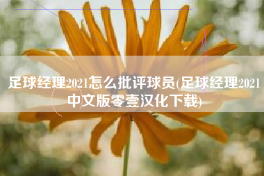 足球经理2021怎么批评球员(足球经理2021中文版零壹汉化下载)