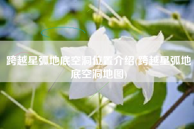跨越星弧地底空洞位置介绍(跨越星弧地底空洞地图)