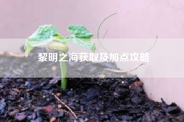 黎明之海获取及加点攻略
