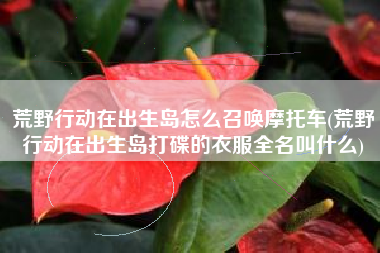 荒野行动在出生岛怎么召唤摩托车(荒野行动在出生岛打碟的衣服全名叫什么)