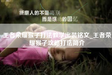 王者荣耀猴子打法教学出装铭文_王者荣耀猴子攻略打法简介