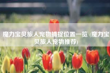 魔力宝贝旅人宠物捕捉位置一览 (魔力宝贝旅人宠物推荐)