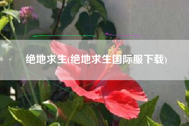 绝地求生(绝地求生国际服下载)