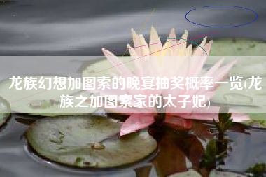 龙族幻想加图索的晚宴抽奖概率一览(龙族之加图索家的太子妃)