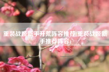 重装战姬新手开荒阵容推荐(重装战姬新手推荐阵容)