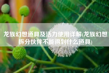 龙族幻想道具及活力使用详解(龙族幻想拆分伙伴不能得到什么道具)