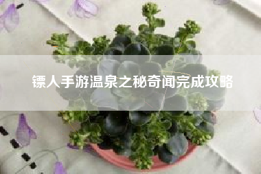 镖人手游温泉之秘奇闻完成攻略