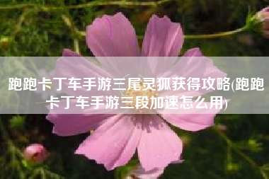 跑跑卡丁车手游三尾灵狐获得攻略(跑跑卡丁车手游三段加速怎么用)
