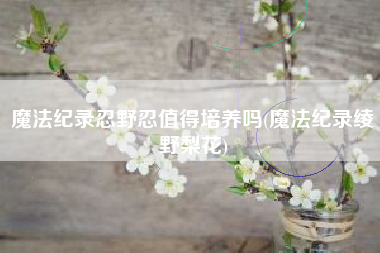 魔法纪录忍野忍值得培养吗(魔法纪录绫野梨花)