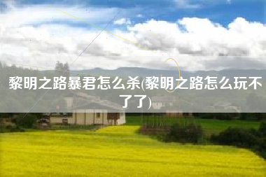 黎明之路暴君怎么杀(黎明之路怎么玩不了了)