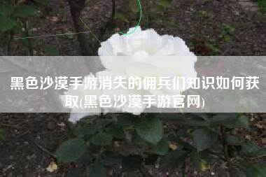 黑色沙漠手游消失的佣兵们知识如何获取(黑色沙漠手游官网)