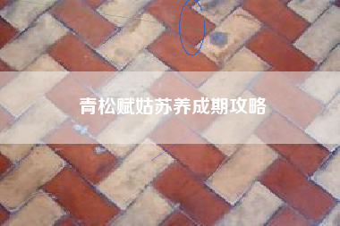 青松赋姑苏养成期攻略