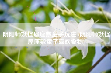 阴阳师妖怪屋座敷童子玩法 (阴阳师妖怪屋座敷童子喜欢食物)