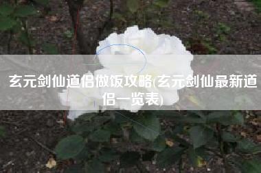 玄元剑仙道侣做饭攻略(玄元剑仙最新道侣一览表)