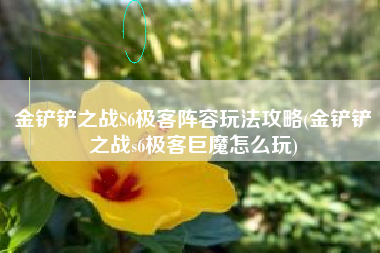 金铲铲之战S6极客阵容玩法攻略(金铲铲之战s6极客巨魔怎么玩)