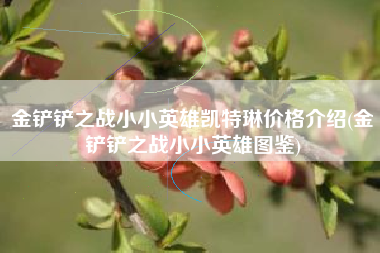 金铲铲之战小小英雄凯特琳价格介绍(金铲铲之战小小英雄图鉴)
