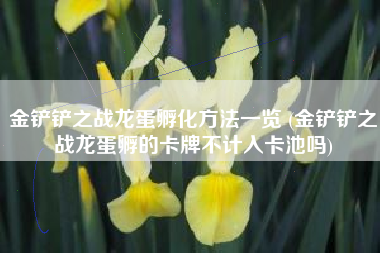 金铲铲之战龙蛋孵化方法一览 (金铲铲之战龙蛋孵的卡牌不计入卡池吗)