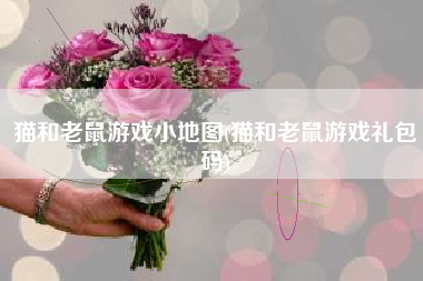 猫和老鼠游戏小地图(猫和老鼠游戏礼包码)