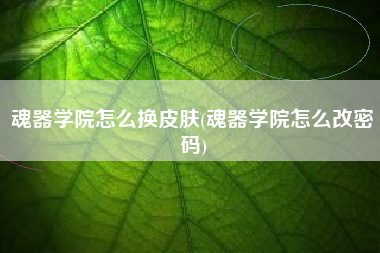 魂器学院怎么换皮肤(魂器学院怎么改密码)
