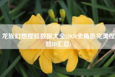 龙族幻想捏脸数据大全(2020全角色完美捏脸ID汇总)