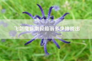 飞剑魔斩南极仙翁多少抽能出