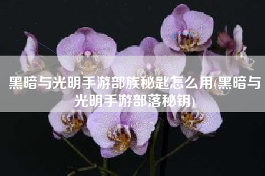 黑暗与光明手游部族秘匙怎么用(黑暗与光明手游部落秘钥)