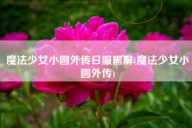 魔法少女小圆外传日服黑屏(魔法少女小圆外传)