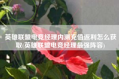 英雄联盟电竞经理内测充值返利怎么获取(英雄联盟电竞经理最强阵容)