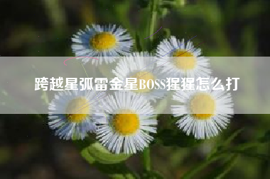 跨越星弧雷金星BOSS猩猩怎么打