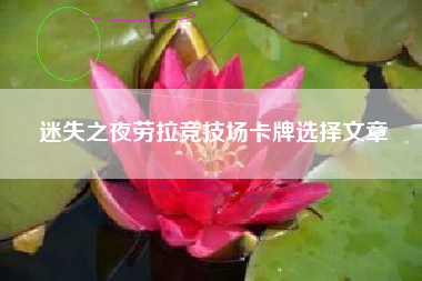 迷失之夜劳拉竞技场卡牌选择文章